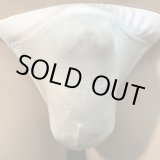 画像: やや小さめシースルー水着系素材黒猫薄ピンク