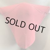 画像: やや小さめ水着系素材黒猫赤