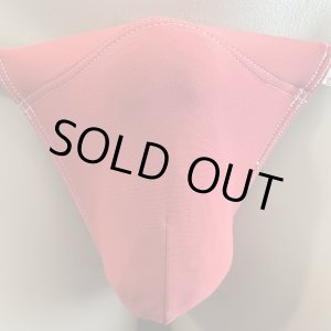 画像: やや小さめ水着系素材黒猫赤