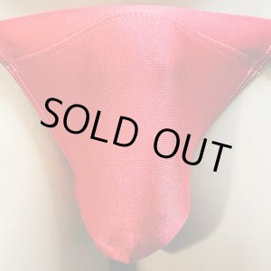 画像: 水着系素材黒猫光沢赤