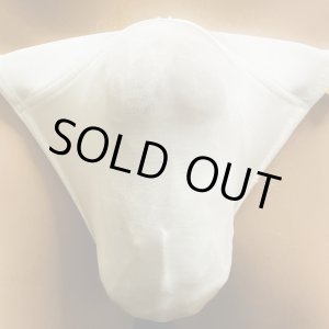 画像: やや小さめシースルー水着系素材黒猫白