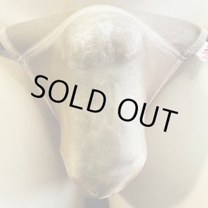 画像: やや小さめ極薄シースルー機能性素材黒猫ダークスキン